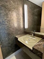 Hana (D10), Condominium #538976861